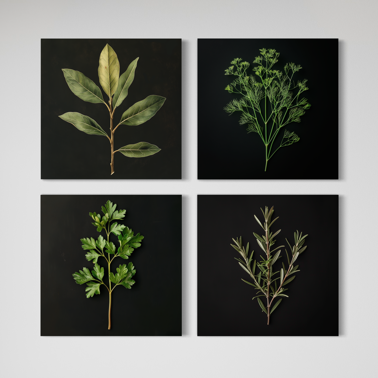 POZY Botanical Series | Fresh Herbs | Four-Piece Set